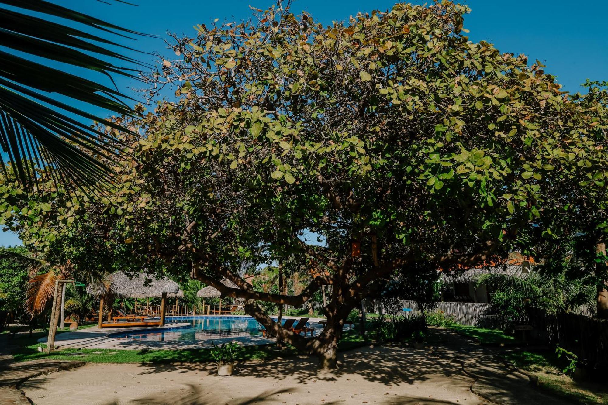 Casas Capulana Villa อิกาไรย์ ภายนอก รูปภาพ